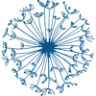Blue Dandelion Yoga