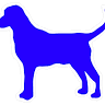 Bluedog Cycles