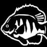 Mary's Bluegill Bar & Grill