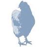 Blue Hen Flowers