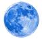Blue Moon Tax Service