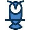 Blue Owl Digital Solutions