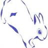 Blue Rabbit Cafe