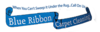 Blue Ribbon Carpet Cleaning