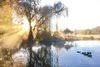 Blue River Forest Experience