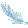 Blue Spruce Health