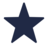 Blue Star RV
