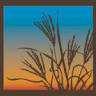 Bluestem Ranch Group, LLC