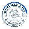 Blueville Acres Blueberry Farm
