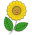 Blumen Brigitte Aigner