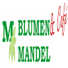 Blumen Mandel GmbH
