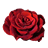 bei Blumen Kugler
