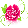 Blushing Rose Bed & Breakfast