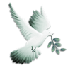 B'nai Shalom Messianic Internet Congregation