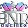 BNR Concierge