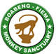 Boabeng Fiema Monkey Sanctuary