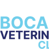 Boca Veterinary Clinic