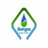 BONGAS, TAFA Station