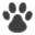 bonmascota