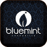 Blue Mint