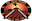 Boomerang Adventures