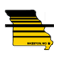Bootheel Diesel Fuel Injection Service