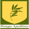 Borgo Spoltino