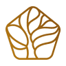 Bosco Beauty Clinic