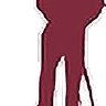 Boss Systems Carpet Cleaning