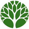 Glavnaya Alleya Botanicheskogo Sada
