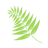 Supanews Bracken Ridge