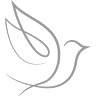 Bradford Memorial Funeral Home