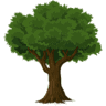 Bradleys Tree & Stump Removal