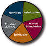 Brain Health Center