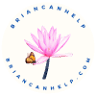 Brian R. King International, Inc.
