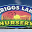 Briggs Lake Nursery and Landscaping