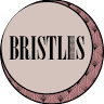 Bristles Hair Design & Day Spa