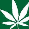 BRITISH CANNABIS™