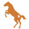 Bronco Farm Supply