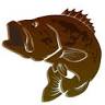 Bronze Bass Guide Service