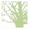 Brooks Memorial Hospital: Orosz John F MD, Pathologist