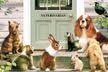Brooks Veterinary Service
