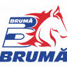 BRUMA Alesd 2
