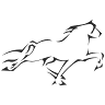 Brunir Horse