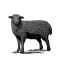 Black Sheep Brasserie