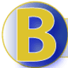 BSOLUTIONS IT SERVICES