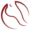 Bryce Sturman Podiatry