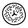 Bubbie's Bagels