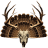 Bucks & Jakes Outfitters