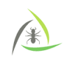 Bundaberg Building and Pest Inspections